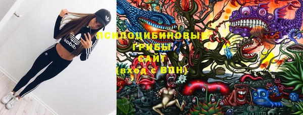 прущая мука Богородицк