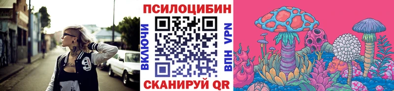 Галлюциногенные грибы Psilocybine cubensis  Тосно 