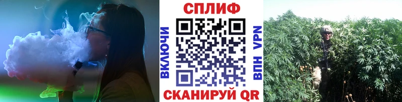продажа наркотиков  Тосно  mega зеркало  МАРИХУАНА планчик 